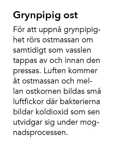 Grynpipig ost F r att uppn grynpipighet r rs ostmassan om samtidigt som vasslen tappas av och innan den pressas. Luf...