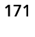 171