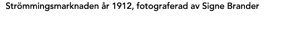 Str mmingsmarknaden r 1912, fotograferad av Signe Brander