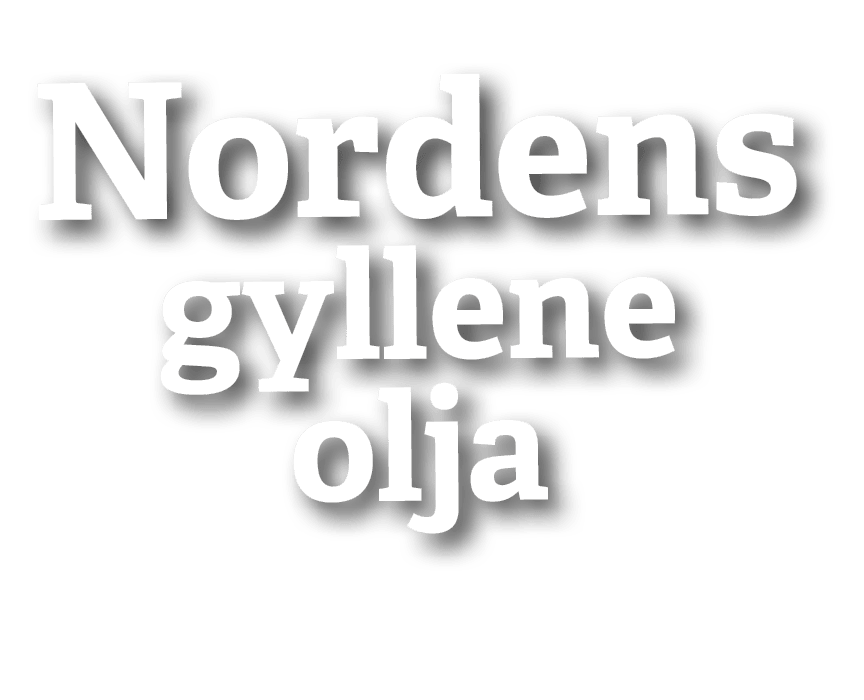 Nordens gyllene olja