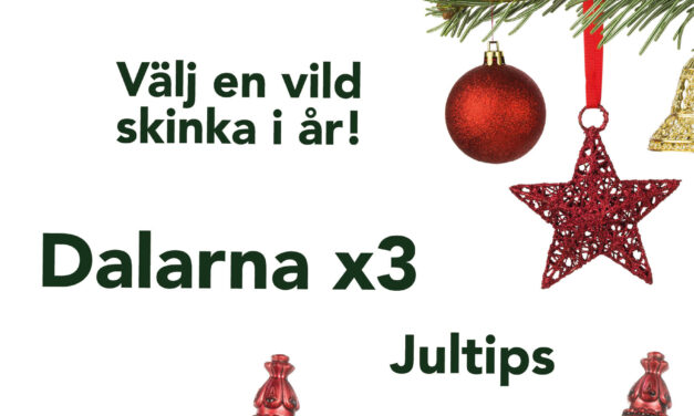 Nr 6 december 2021