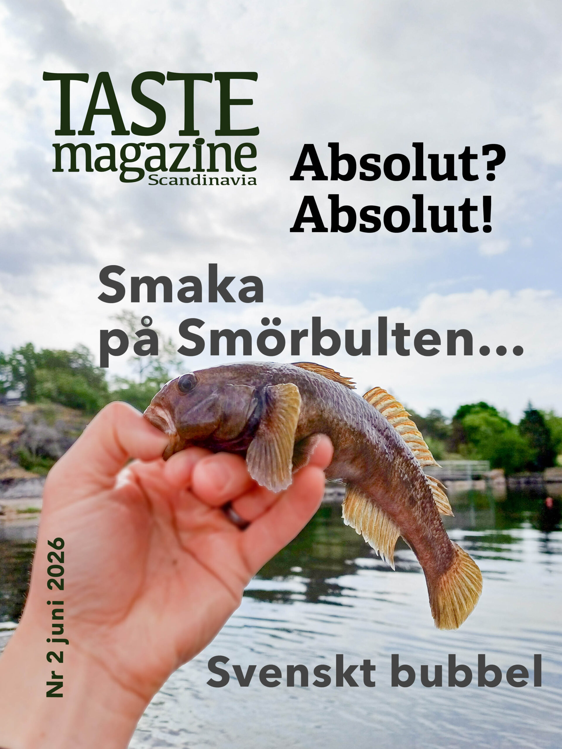 Nr 3 juni 2026